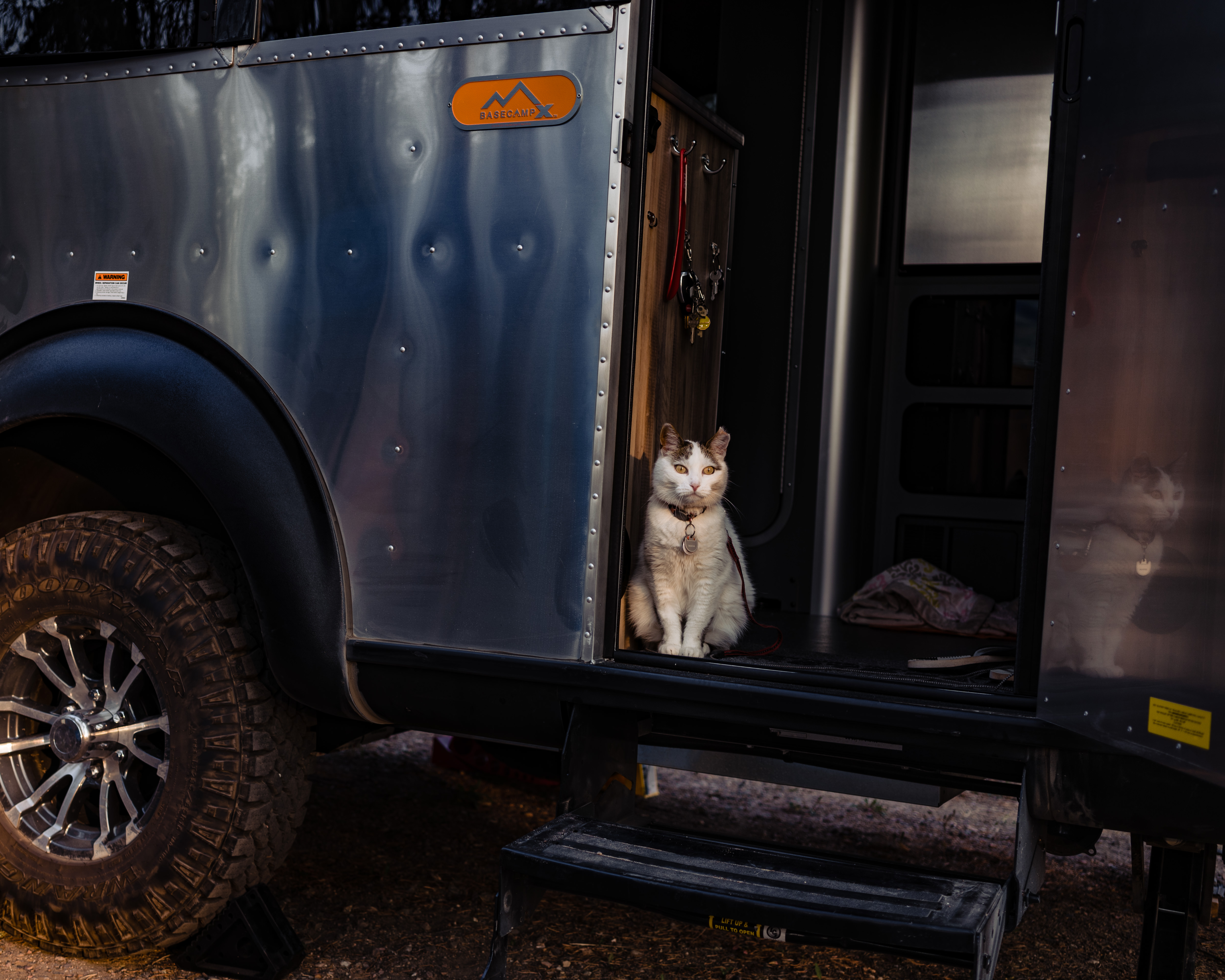 Maha (cat) at Moose Lake Campground · Photo by The 38 Photography